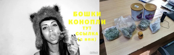 твердый Ладушкин