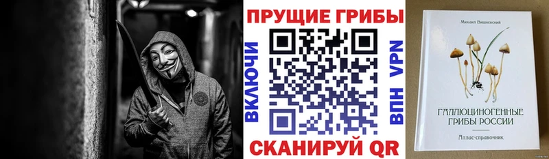 Псилоцибиновые грибы Psilocybe  Новоалександровск 